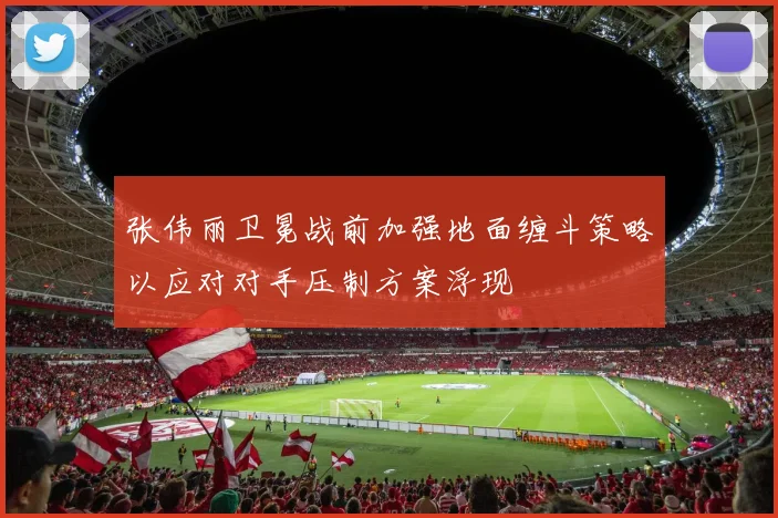 张伟丽卫冕战前加强地面缠斗策略以应对对手压制方案浮现